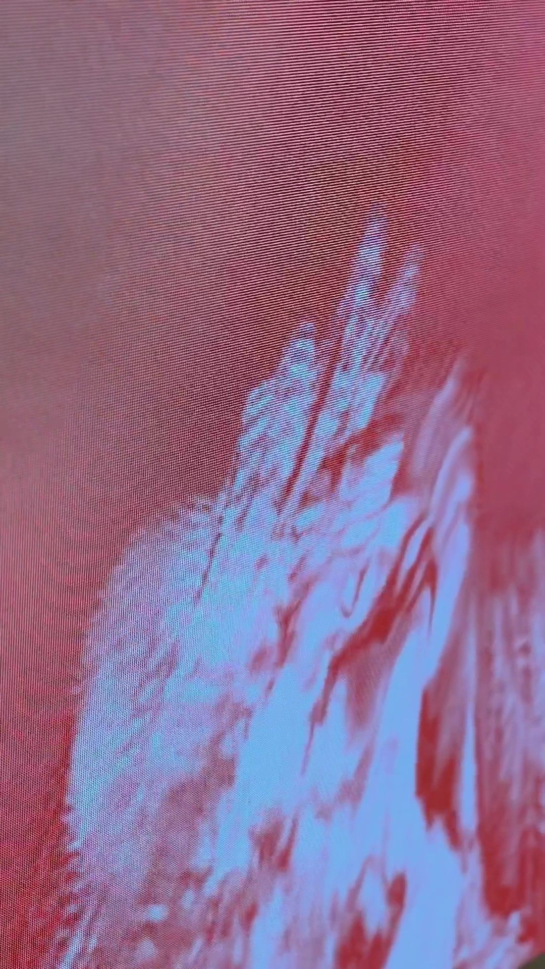 Generative Cave — Zara